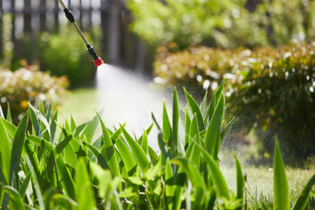 24/7 Emergency Wasp Removal experts in Lombard, IL